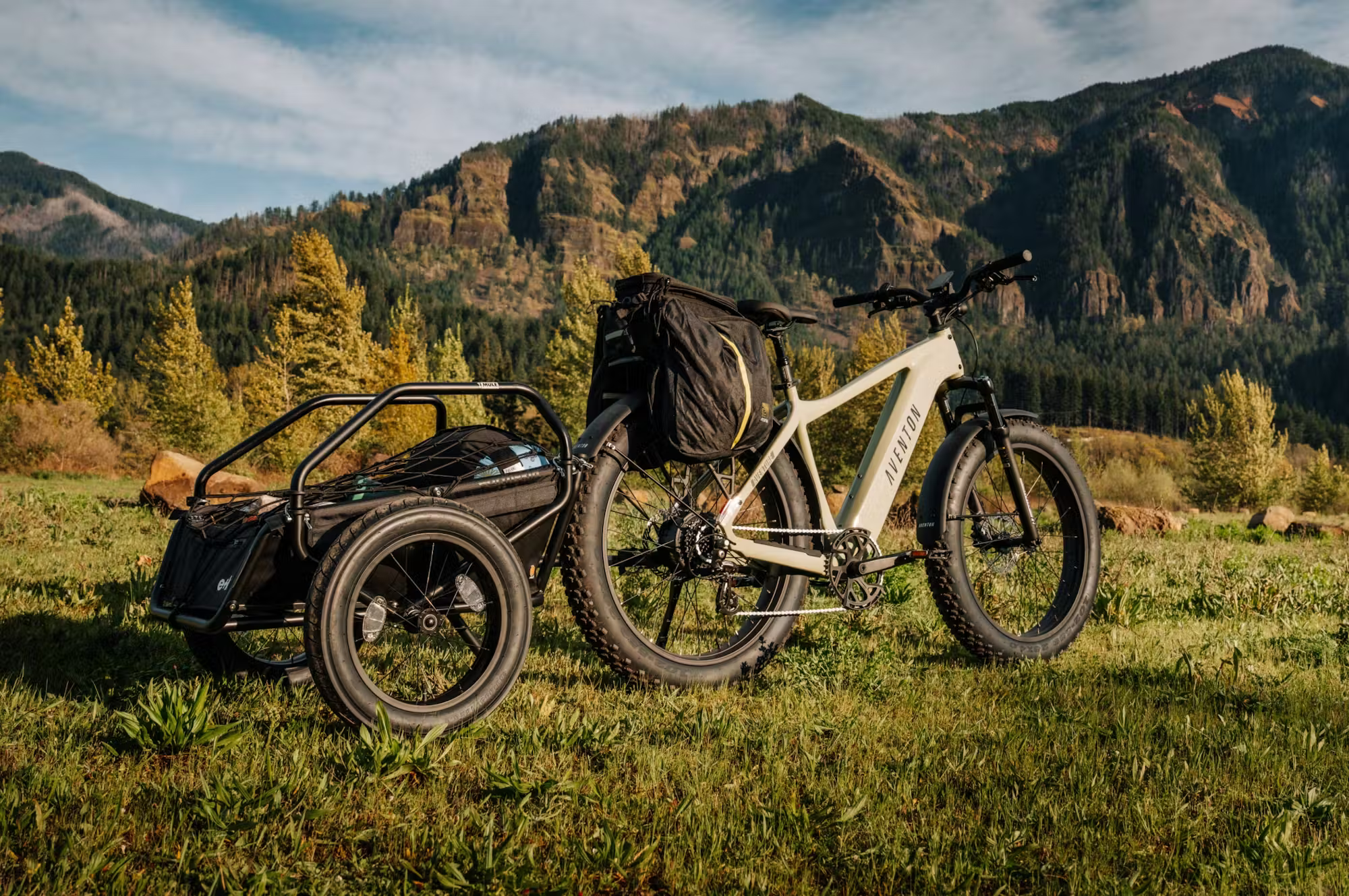 Aventon Aventure.3 E-Bike Step-Over