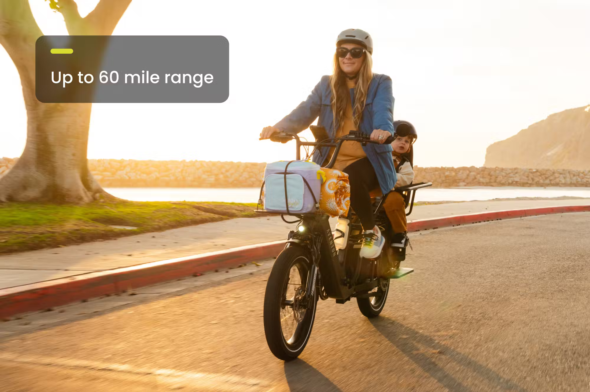 Aventon Abound LR Cargo E-Bike